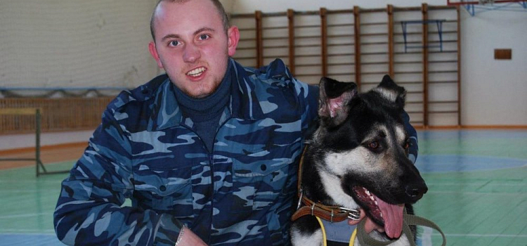 «Ты отдал свою жизнь из-за меня». В Ярославле водитель автобуса насмерть сбил собаку