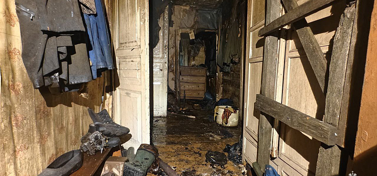 Погибли 150 птиц: в Ярославской области сгорел птичник_305590