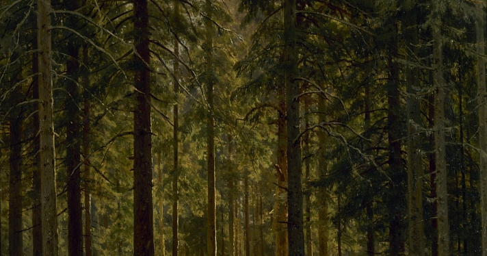 «Яркое впечатление соснового леса»: в Ярославском художественном музее откроется выставка к юбилею со дня рождения Ивана Шишкина