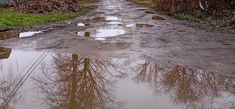 Жители Ярославля просят отремонтировать дорогу к детскому саду во Фрунзенском районе_225830
