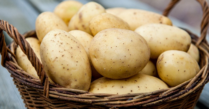 Россия планирует закупать больше картофеля в СНГ из-за плохого урожая
