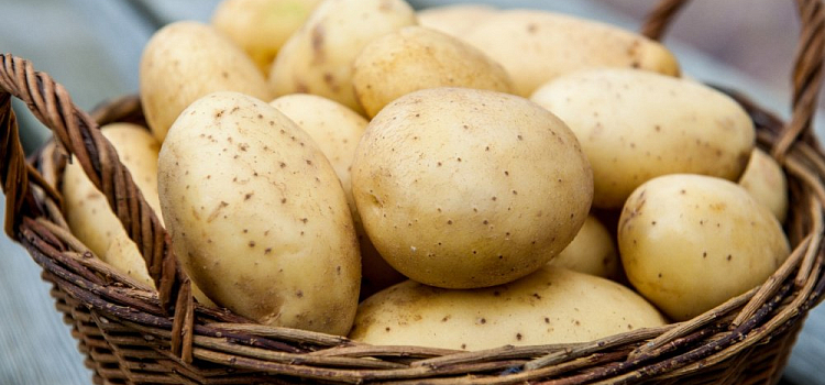 Россия планирует закупать больше картофеля в СНГ из-за плохого урожая