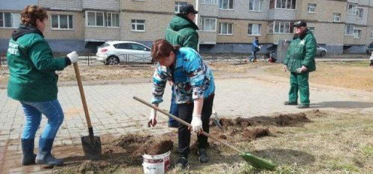 В Ярославле завершается подготовка к субботнику