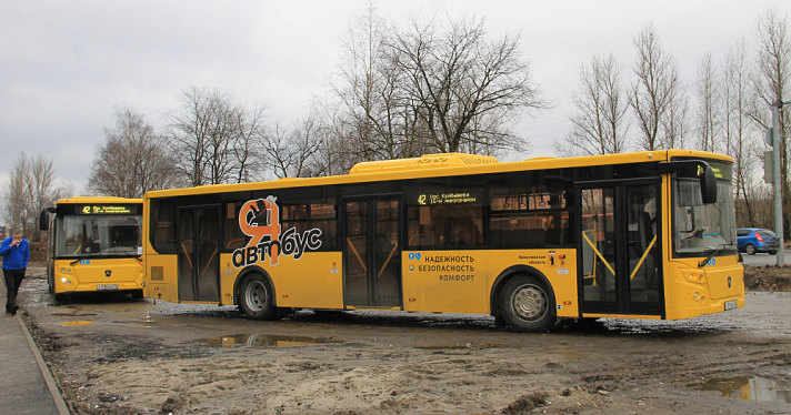 Стали известны самые популярные автобусные маршруты Ярославля
