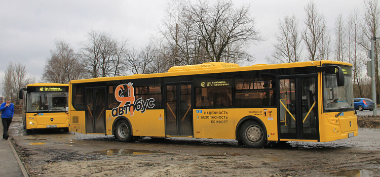 Стали известны самые популярные автобусные маршруты Ярославля
