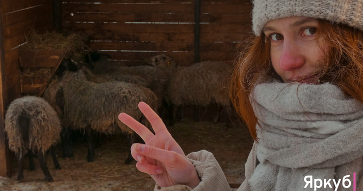 Ледяные забавы в Ярославском зоопарке: морозный фоторепортаж