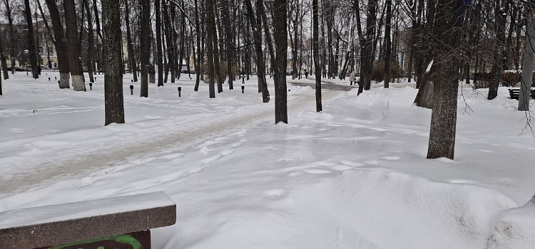 Ледяное царство: тротуары в Ярославле покрылись льдом_289394
