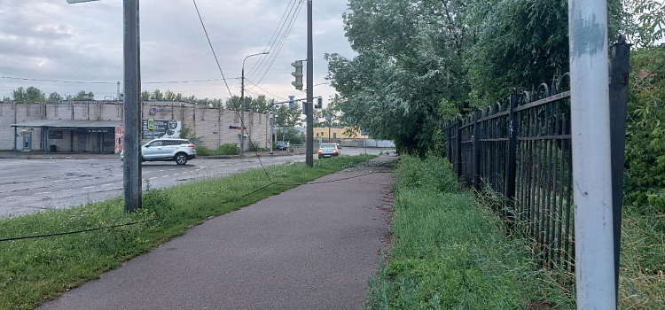Крыши и деревья летели прямо на дорогу: в Ярославской области устраняют последствия грозы_319288