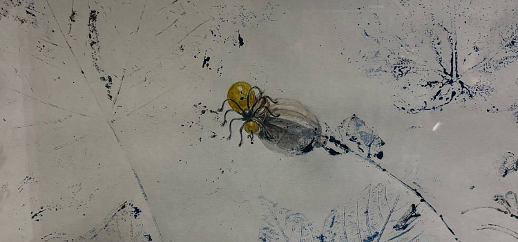 Оранжерея иллюзий: в Ярославле проходит выставка «Иллюзия/реальность»_312242