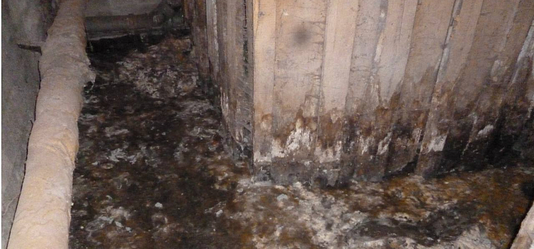 В центре Ярославля затопило подвал многоквартирного дома_271353