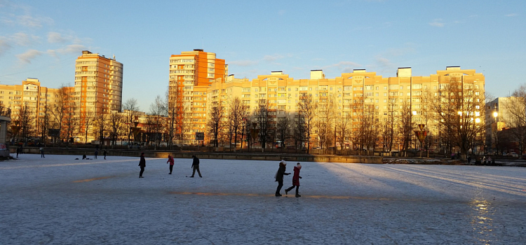 В двух парках Ярославля зальют катки