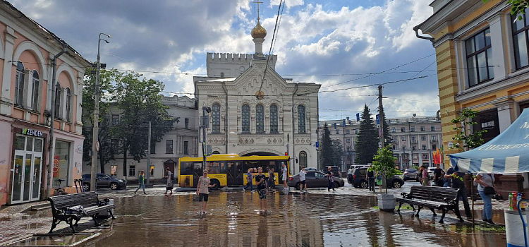 Юные ярославцы устроили «заплыв» на центральной улице_275155