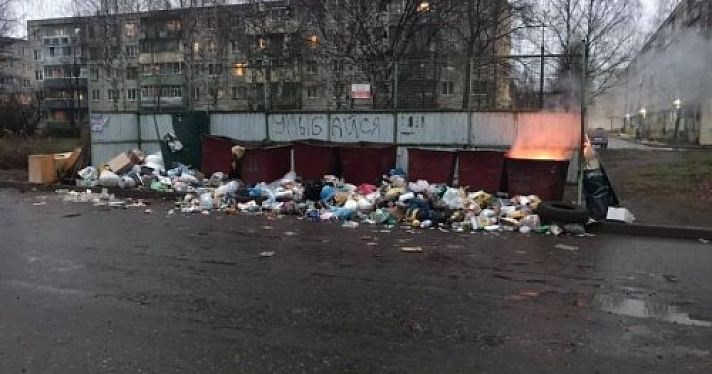 В Рыбинске назначили нового директора муниципального предприятия, отвечающего за организацию вывоза мусора