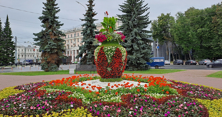 Медведи, рыбы, вазы: Ярославль украшают объемными цветочными композициями_245958