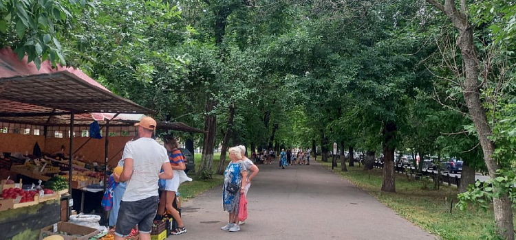 Россиянам назначат новые выплаты: кому и когда