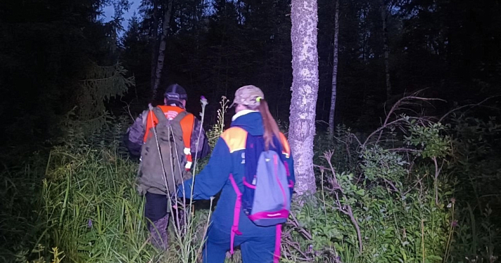 Заблудившаяся в чаще леса жительница Ярославской области провела ночь на дереве