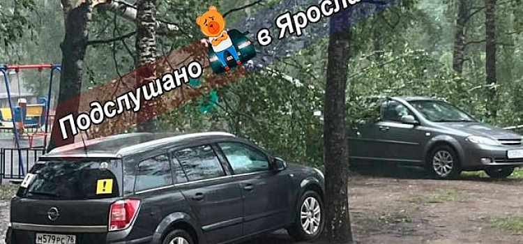 Крыши и деревья летели прямо на дорогу: в Ярославской области устраняют последствия грозы_319282