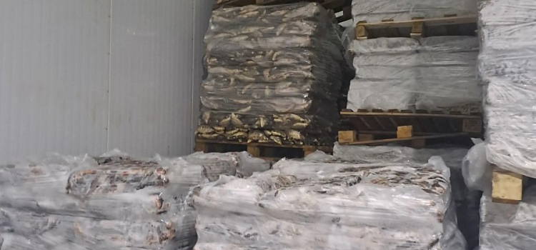 Рыбинск подвела рыба: на местном предприятии выявили нарушения