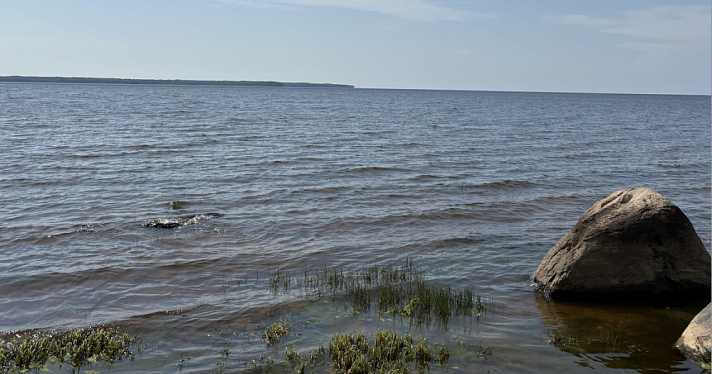 Больше мест для купания: в Ярославской области летом откроют 35 официальных пляжей