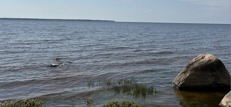 Больше мест для купания: в Ярославской области летом откроют 35 официальных пляжей