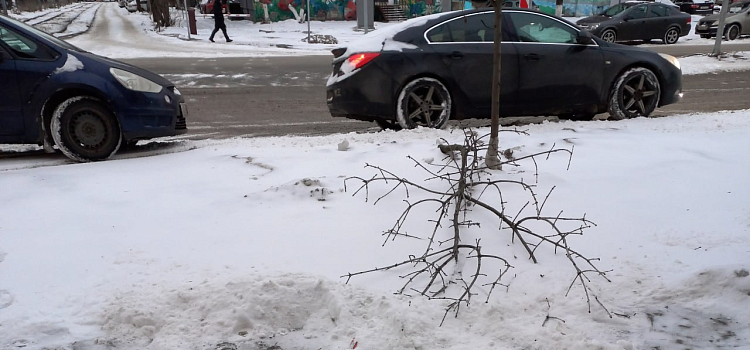 Ярославцы пожаловались на автомобили, припаркованные на тротуарах в центре города_291019