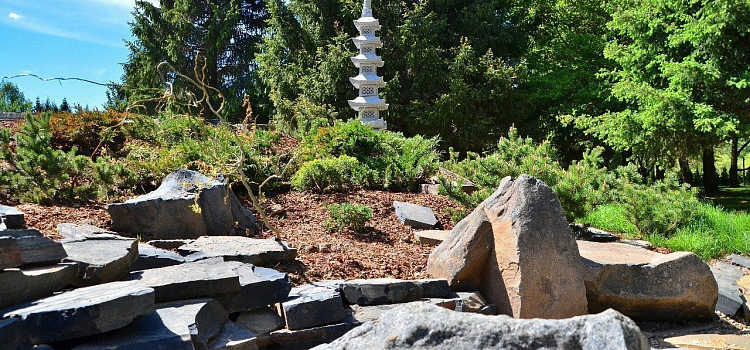 В Переславском дендрологическом саду открыли экспозицию «Японский сад». Она спроектирована в стиле японских чайных садов_158172
