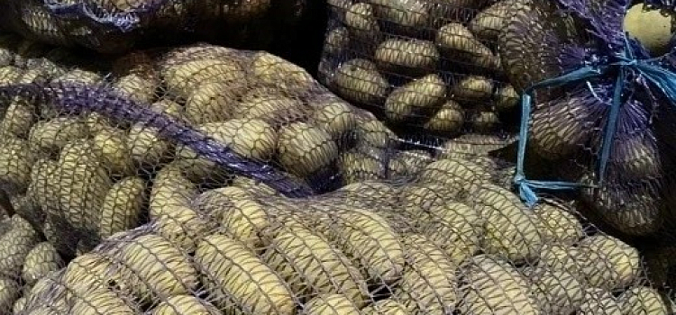 Два округа Ярославской области пережили картофельный карантин
