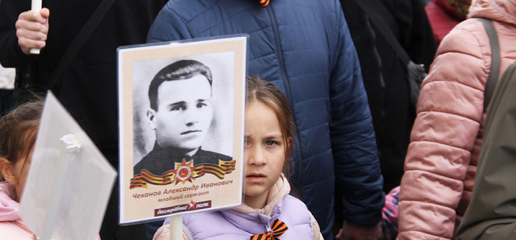 «Бессмертный полк» в Ярославле собрал около десяти тысяч участников