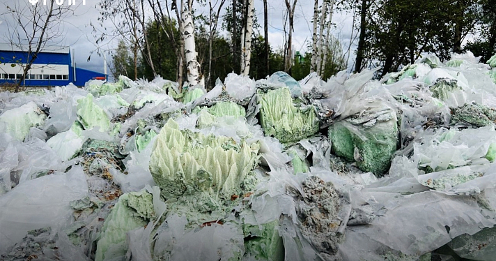 «Масштабы экологического ущерба сложно представить»: под Ярославлем обнаружили свалку токсичных отходов_220748