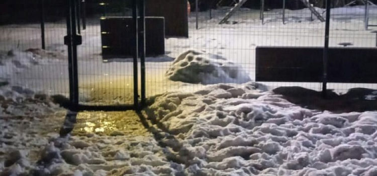 Ярославские собачники не смогли выгулять своих питомцев на новой площадке