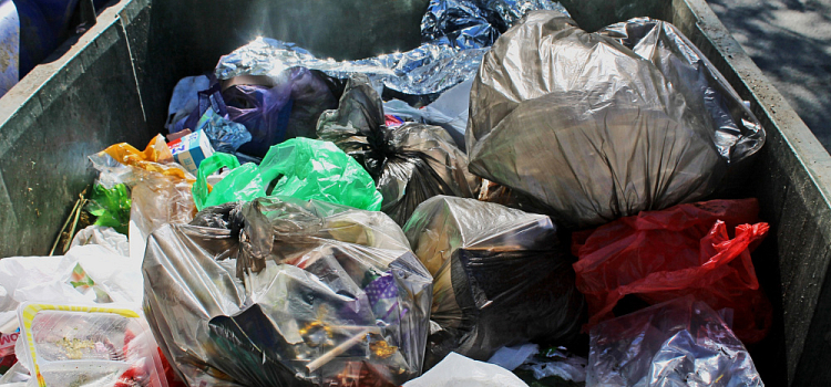 Ярославская область вошла в число регионов-лидеров по правильной утилизации батареек