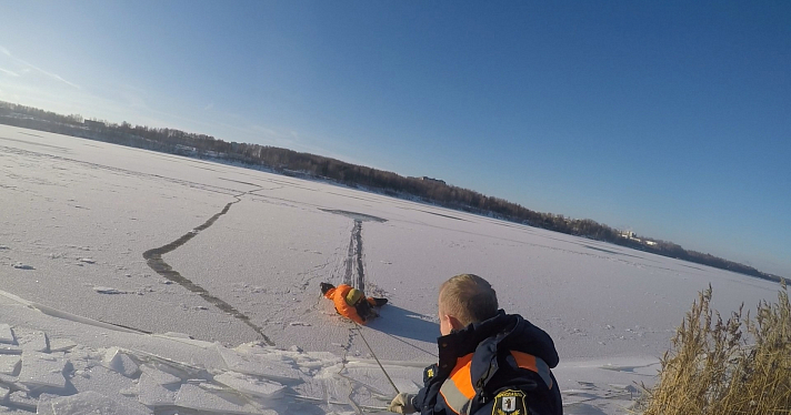 В Ярославле спасатели вытащили провалившуюся под лед собаку_226998