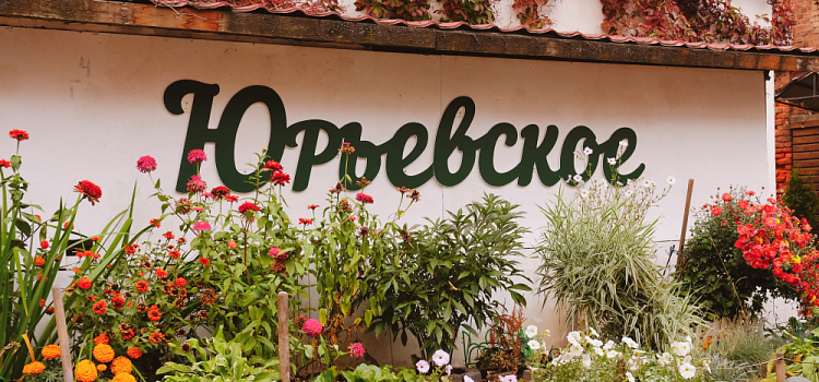 В центре Ярославля открылось арт-пространство, сочетающее деревенскую атмосферу и творчество