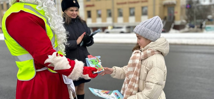 В центре Ярославля на дорогу вышел необычный патруль_260309
