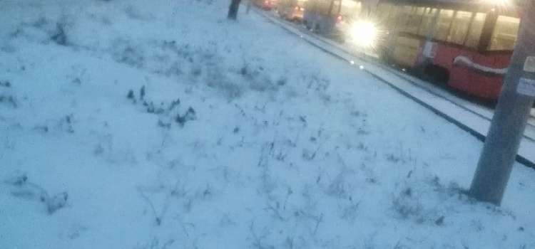 В Ярославле трамваи встали в пробку из-за ДТП_226504