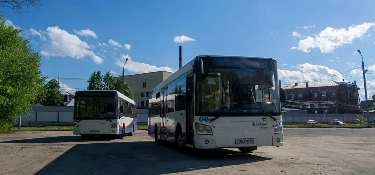Подготовка ко второму этапу транспортной реформы в Ярославле: ответы мэрии на самые актуальные вопросы 