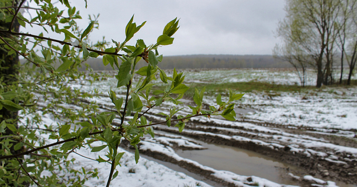 Этот снежный май: в Ярославль идет мощное похолодание