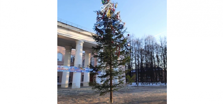 Фото дня. На Резинотехнике установили «не до конца нарядную» елку_169921