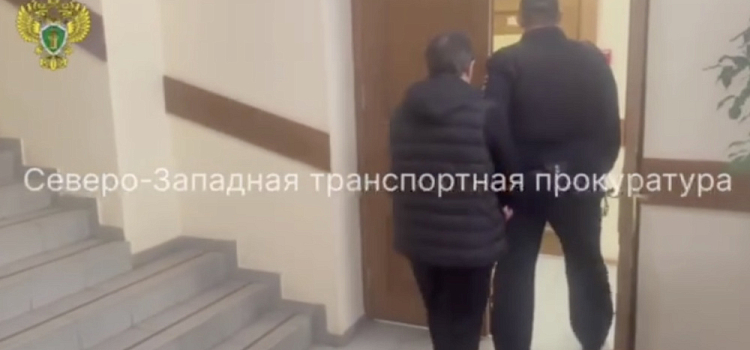 Пассажира, вытолкнувшего проводницу из поезда в Костромской области, арестовали в Ярославле