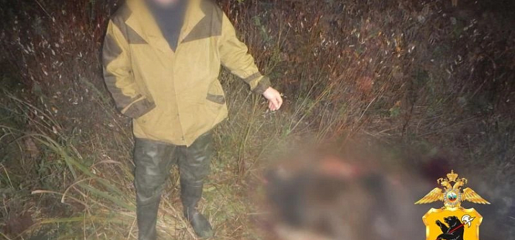 В Ярославской области задержали нелицензированного охотника
