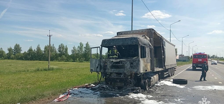 В Ярославском округе на трассе полыхал грузовик со стройматериалами_317247