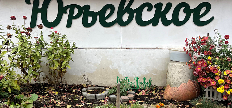 Куда сходить в Ярославле: десять локаций для творческого досуга_306770