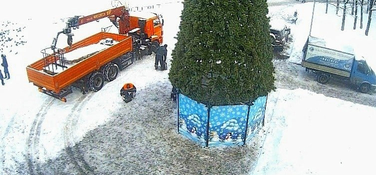 В Брагино установили новогоднюю ёлку