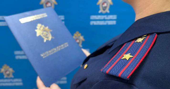 В Ярославской области бездомная собака напала на трёхлетнего ребёнка