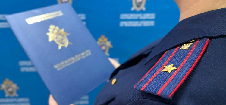 В Ярославской области бездомная собака напала на трёхлетнего ребёнка