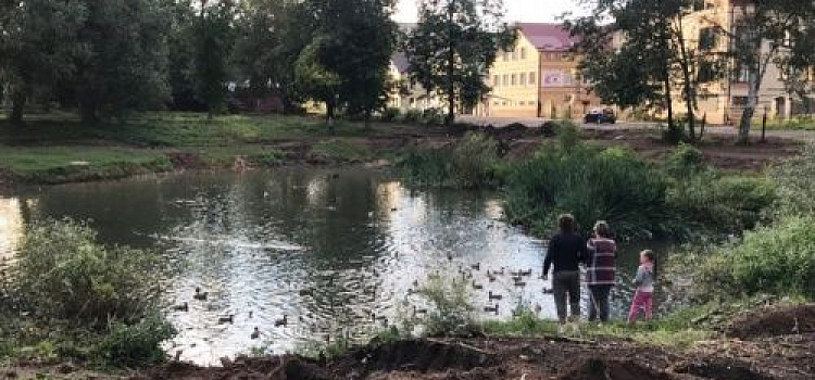 В Рыбинске начали благоустраивать пруд в Карякинском парке