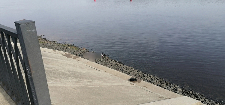 Пожилая женщина утонула в Волге в Рыбинске