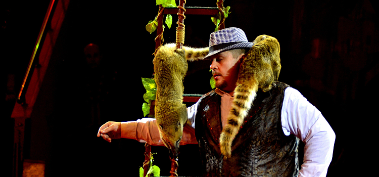 Ярославский цирк представляет новую программу!_57128