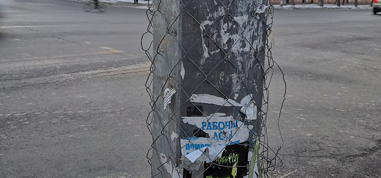 Столбы в клеточку: в Ярославле борются с рекламой на столбах и дорожных знаках, но этот метод плох_228617