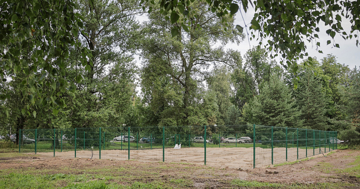 Назвали адреса новых площадок для выгула собак в Рыбинске